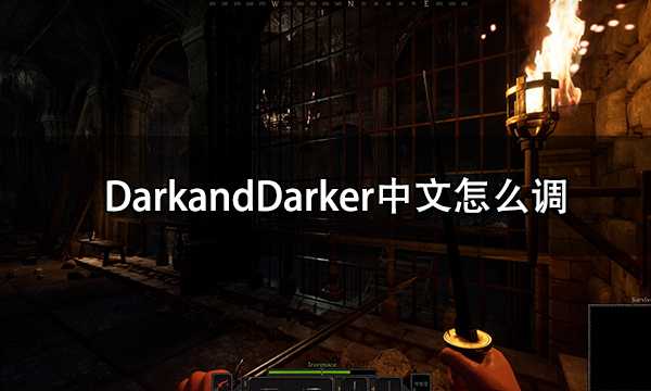 DarkandDarker中文怎么调 darkanddarker汉化教程