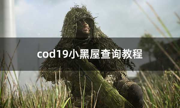 cod19小黑屋查询教程 使命召唤19账号问题查询方法