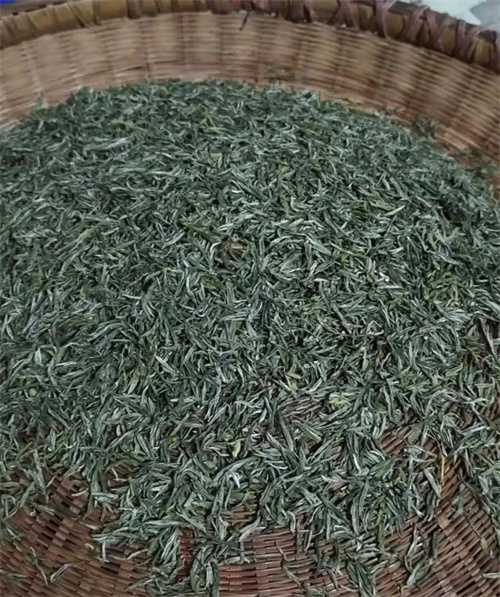 中国十大名茶之一河南信阳毛尖简单介绍