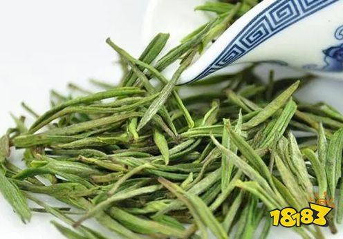 喝白茶的注意事项