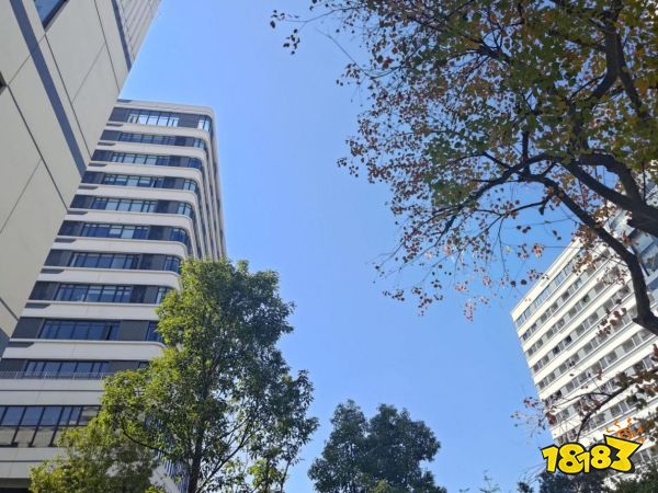岂止为游戏手机!硬核全能怪兽——ROG游戏手机8 Pro评测