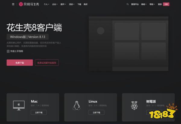 幻兽帕鲁联机服务器搭建教程:比云服务更简单、比私建FRP内网穿透更稳定