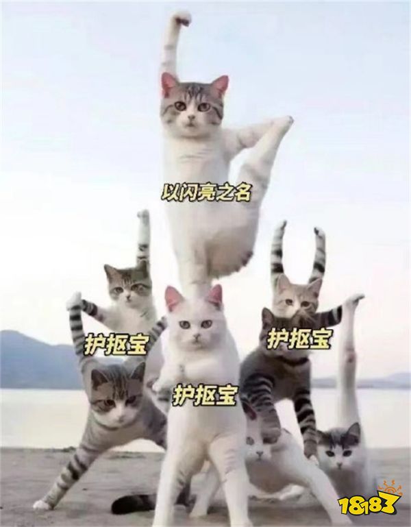 传下去，《以闪亮之名》要和逆水寒打起来了!