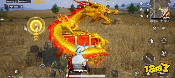 疯了?大年初一只在家族群抢红包?《PUBGM》白送你的龙年礼物你都不要?