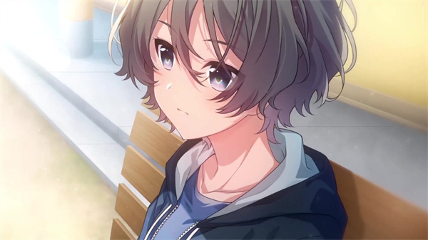 《秋之回忆9：星穹之下》欧美版推出 登陆Steam