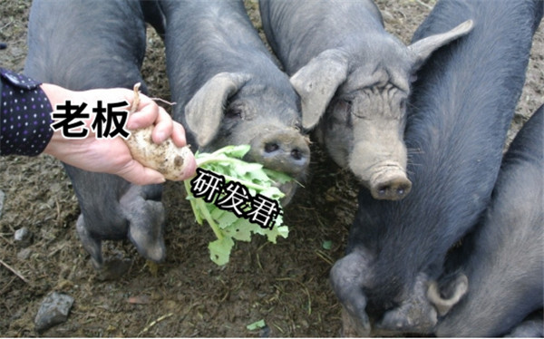 糟糕，全球“狗策划”都要被裁了！猪场发布的新AI游戏工具太超了-Y3编辑器