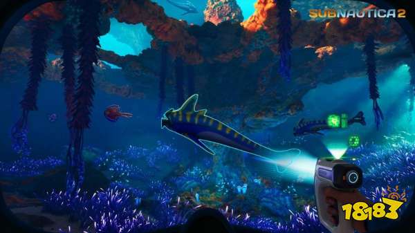 Unknown Worlds公开《Subnautica 2》最新信息