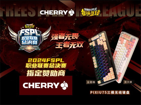 王者无双  CHERRY赞助2024FSPL职业联赛总决赛