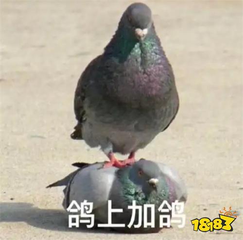 打枪和妹妹全都要!这次的《PUBG》又整了什么新活儿?