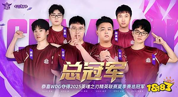 破界新生！WDG五局鏖战登顶HEL夏决，玩家热梗“三年级打英魂”引爆十年情怀