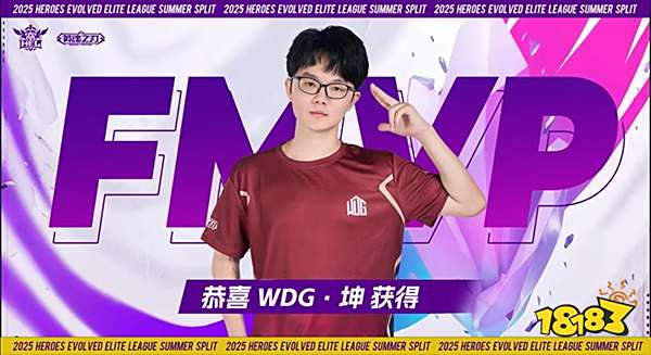 破界新生！WDG五局鏖战登顶HEL夏决，玩家热梗“三年级打英魂”引爆十年情怀