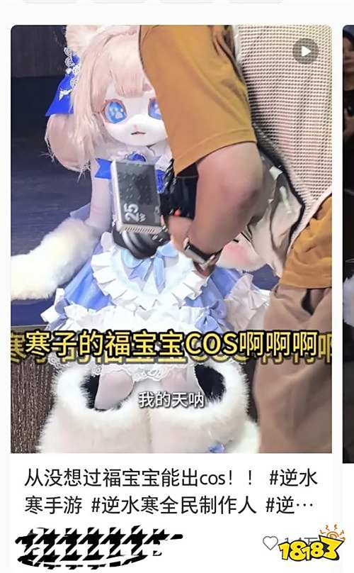 CJ 2025 已冲,索然无味
