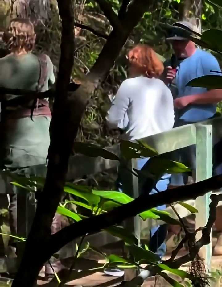 塞尔达电影拍摄现场