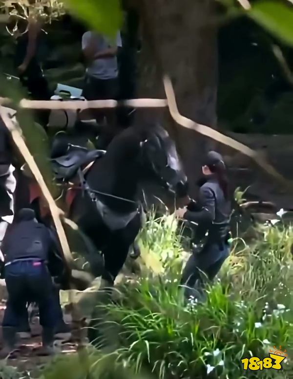 塞尔达角色外观